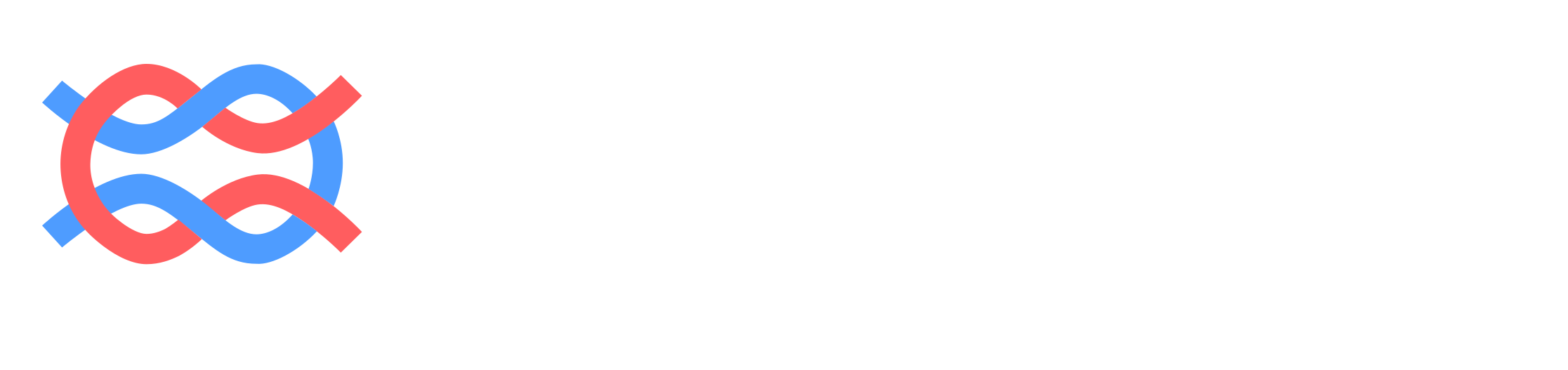 Langfuse wordmark dark PNG preview